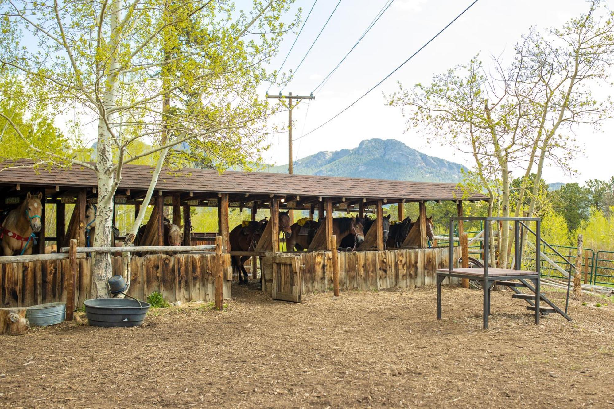 The Meeker Park Lodge Allenspark Екстериор снимка