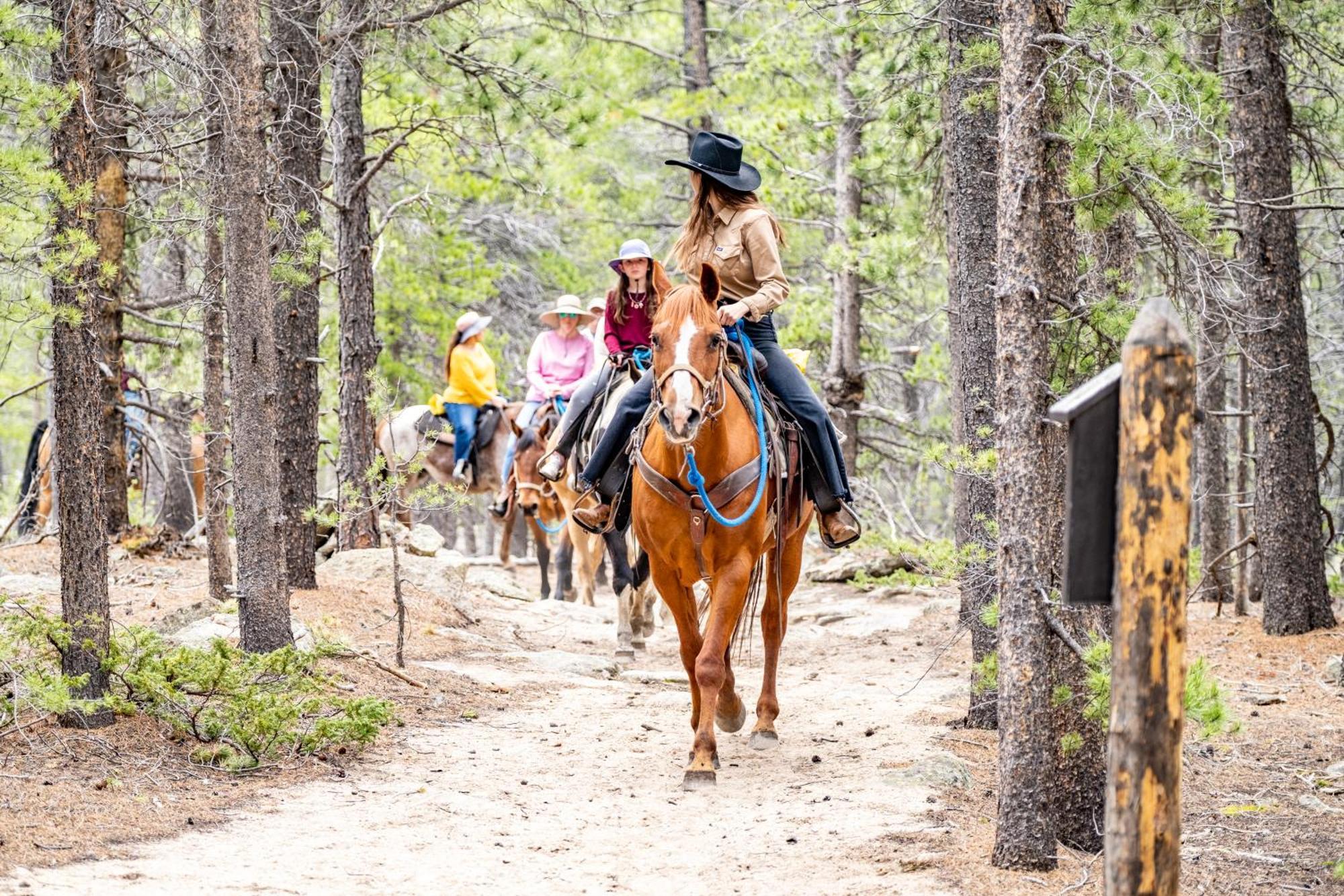 The Meeker Park Lodge Allenspark Екстериор снимка