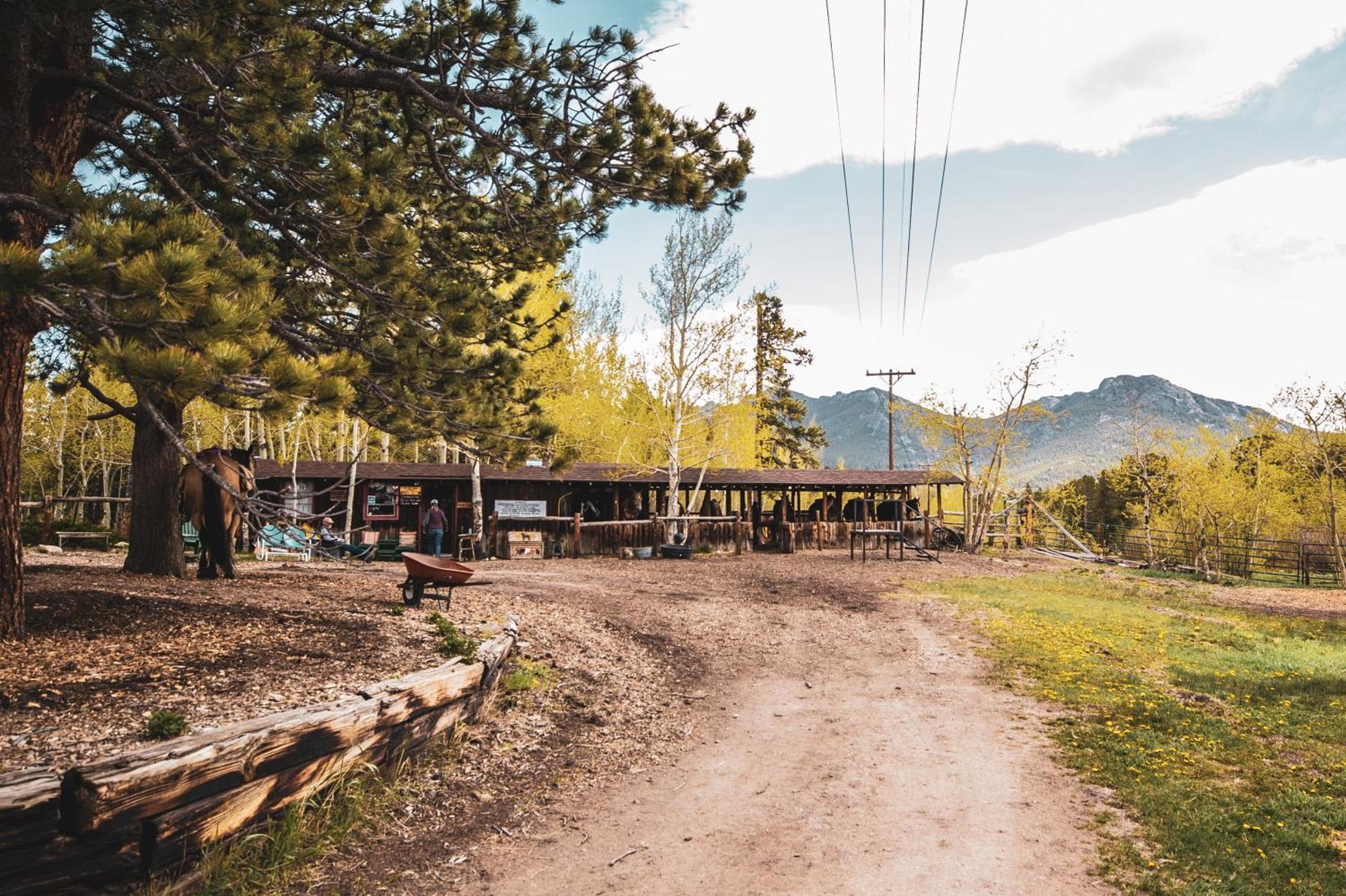 The Meeker Park Lodge Allenspark Екстериор снимка